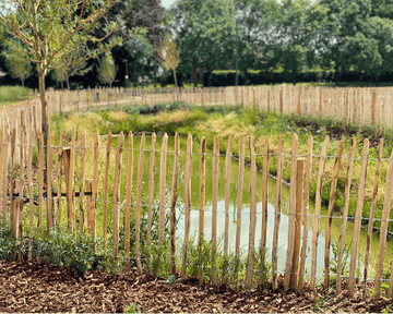 Kastanje omheining Zwevegem