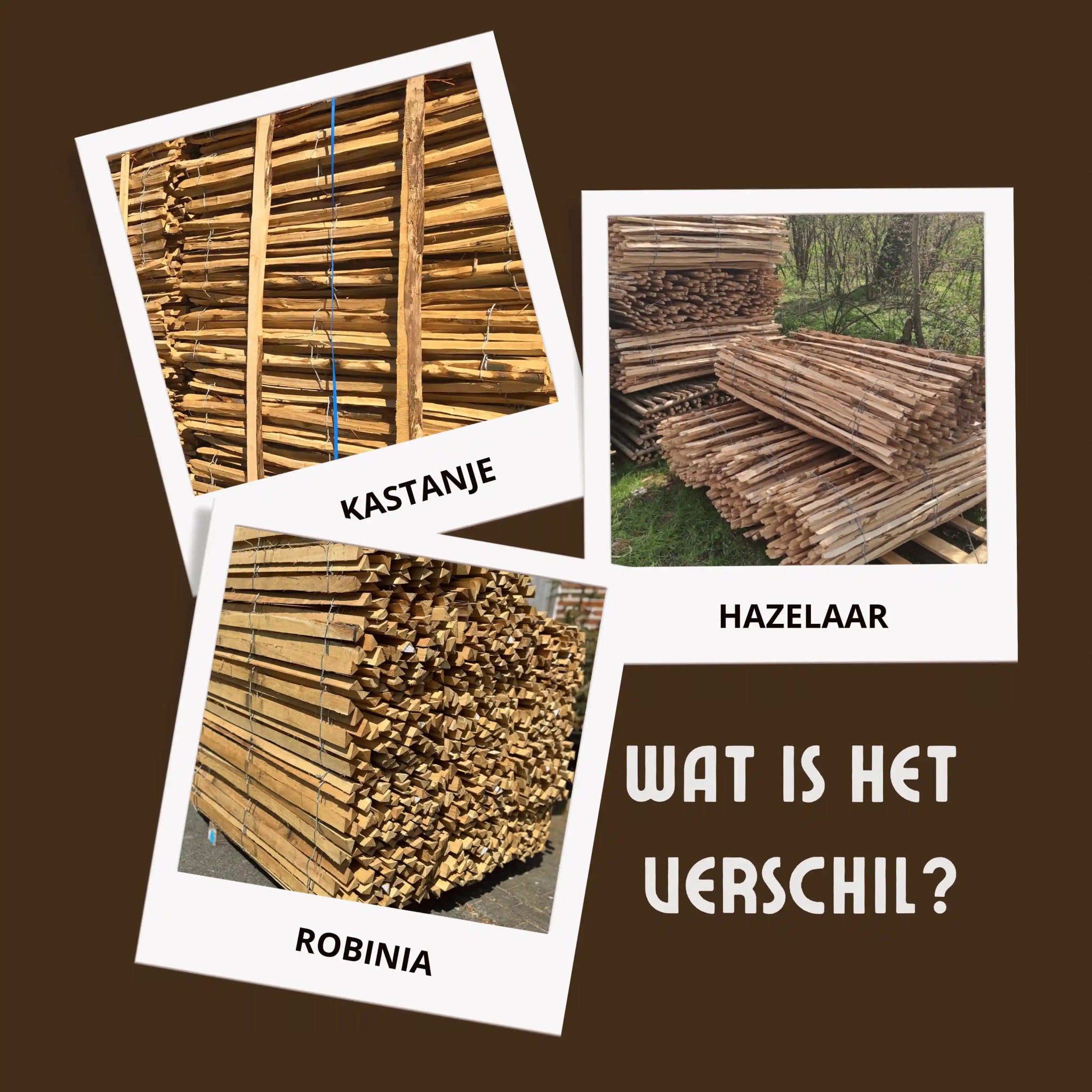 Kastanje, Hazelaar of Robinia hekwerk – wat is het verschil? - Natuurhout