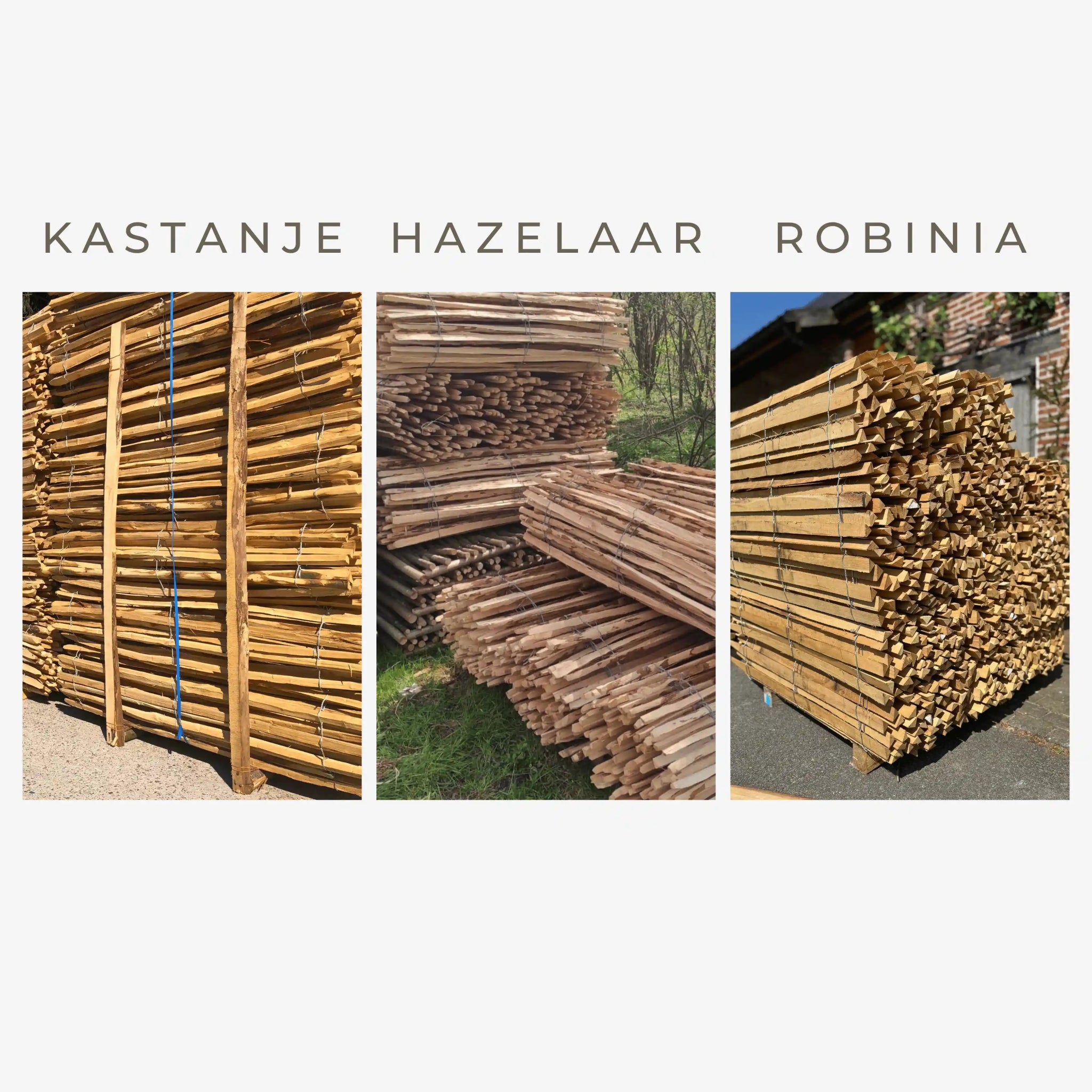 Kastanje, Hazelaar of Robinia hekwerk – wat is het verschil? - Natuurhout