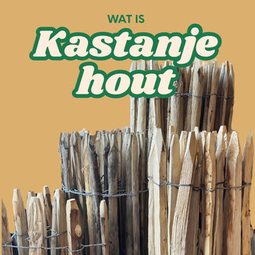Wat is kastanjehout? - Natuurhout
