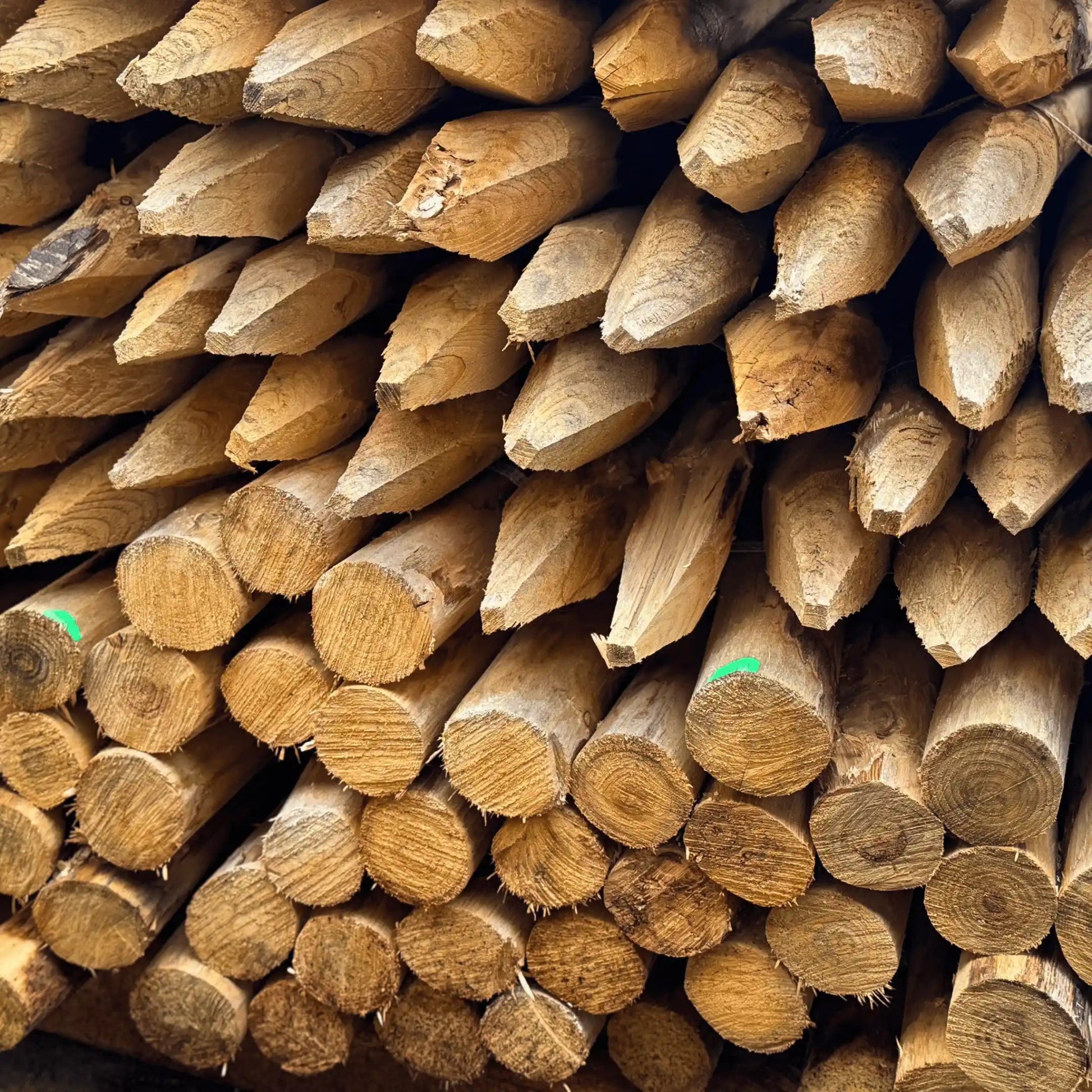 Kastanje Palen - Natuurhout