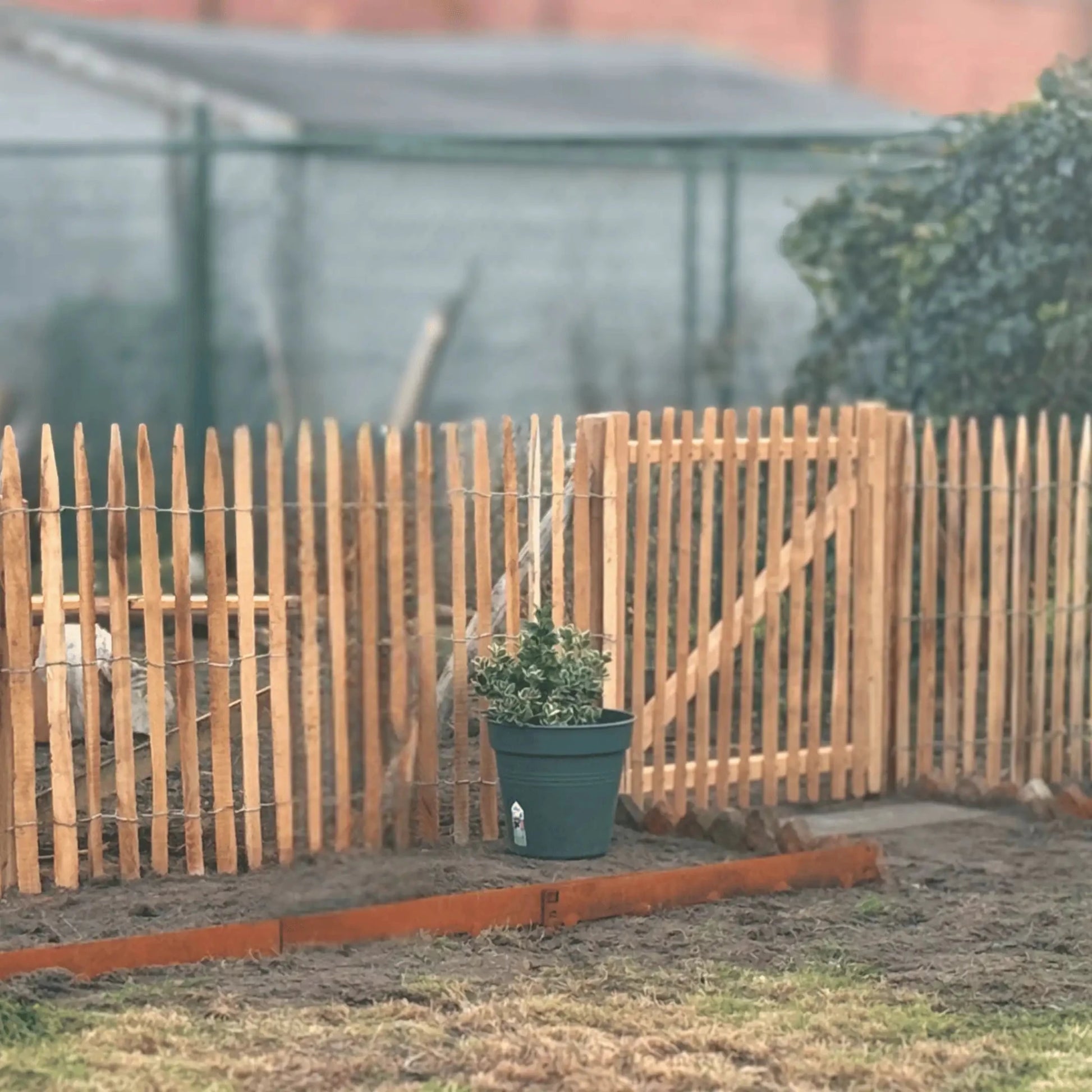 Robinia Hekwerk - Natuurhout